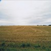 2011-07-30_05